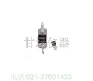 20噸測力計價格，20噸拉力計，上海測力計廠家